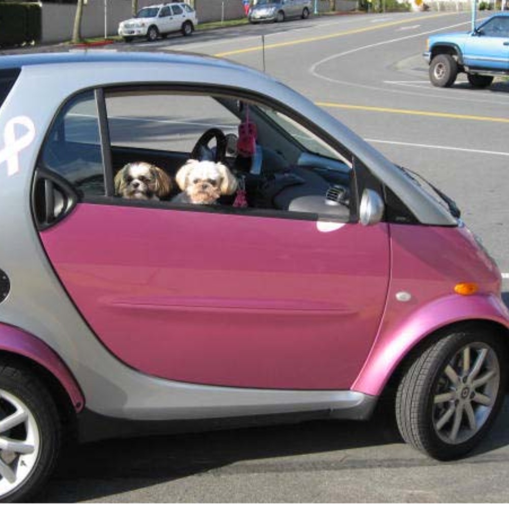 Meet your Posher, Carolyn